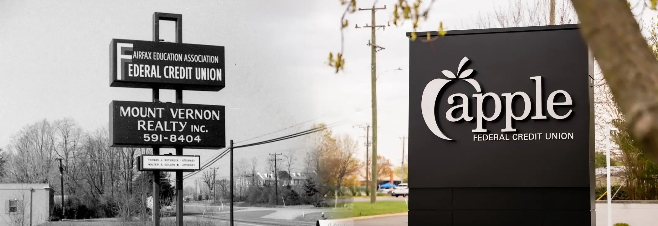 Header Timeline Logos